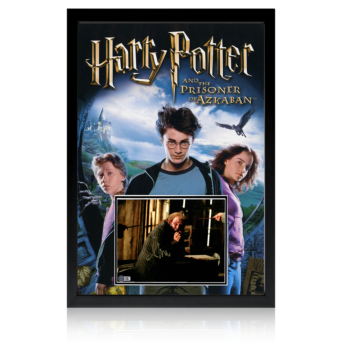 Timothy Spall Signed Harry Potter Image Iconic Frame (AFTAL Authentication)