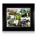 AP McCoy Signed Montage Deluxe Mount Frame