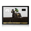 AP McCoy Signed Horse Racing Cut Iconic Frame