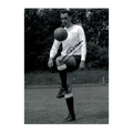 Alan Gilzean Signed Tottenham Hotspur 16x12 Image
