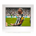 Bruno Guimarães Signed Newcastle United Mount