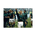 Bryan Habana Signed 12x8 Image