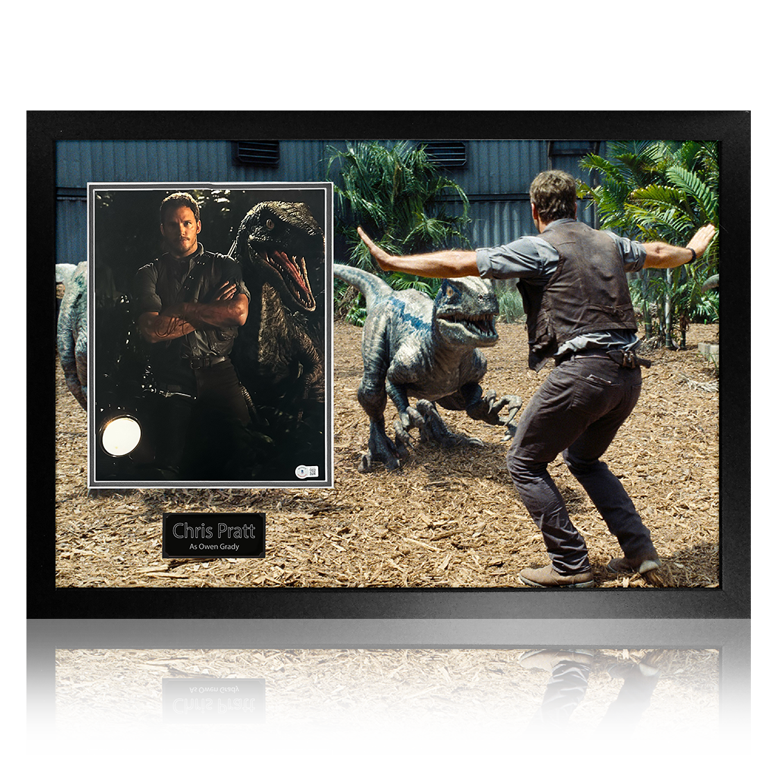 Chris Pratt Signed Jurassic World Image Premium Frame (Beckett)