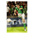 David Healy Northern Ireland Signed 12x8 Photo 4