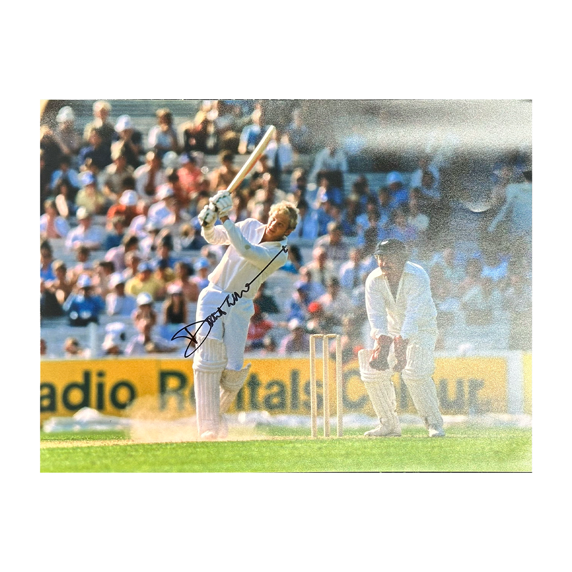 David Gower Signed 16x12 Image