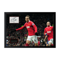 Dimitar Berbatov Signed Manchester United Cut Iconic Frame (ACG Cert)
