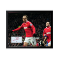 Dimitar Berbatov Signed Manchester United Cut Deluxe Mount Frame