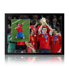 Fernando Torres Signed Spain Image Iconic Frame