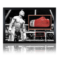 Floyd Mayweather Jr Signed Glove Iconic Frame