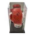 Floyd Mayweather Jr Signed Everlast Glove w/ Case (in-store collection only)