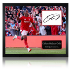 Callum Hudson-Odoi Signed Nottingham Forest Cut Mount Frame