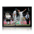 Freddie Flintoff Signed England Cricket Cut Iconic Frame