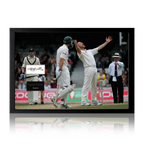 Freddie Flintoff Signed England Cricket Cut Iconic Frame