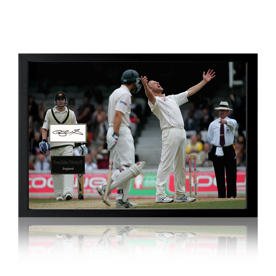 Freddie Flintoff Signed England Cricket Cut Iconic Frame