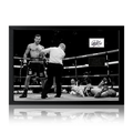 Carl Froch Signed Boxing Cut Iconic Frame