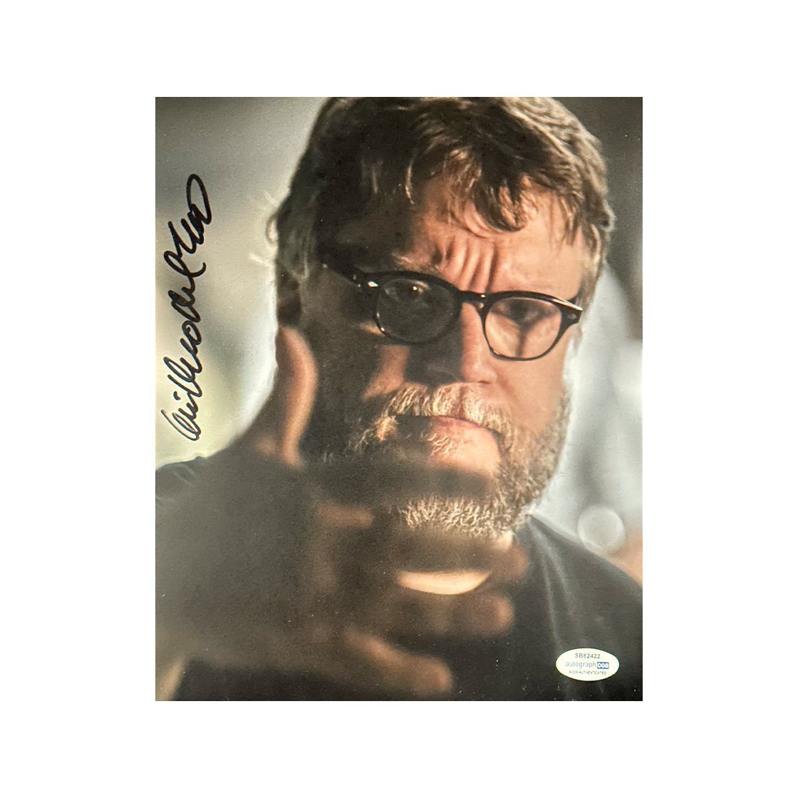 Guillermo del Toro Signed Hellboy 10x8 Image 5 (ACOA)