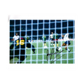 Gary Lineker Signed 12x8 Image