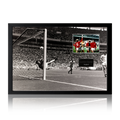 Gordon Banks Signed England Cut Iconic Frame
