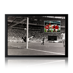 Gordon Banks Signed England Cut Iconic Frame