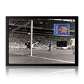 Gordon Banks Signed England Cut Iconic Frame