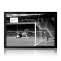 Gordon Banks Signed England Cut Iconic Frame