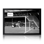 Gordon Banks Signed England Cut Iconic Frame