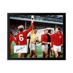 Gordon Banks Signed England Cut Deluxe Mount Frame