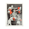 Herol Graham Signed 16x12 Image