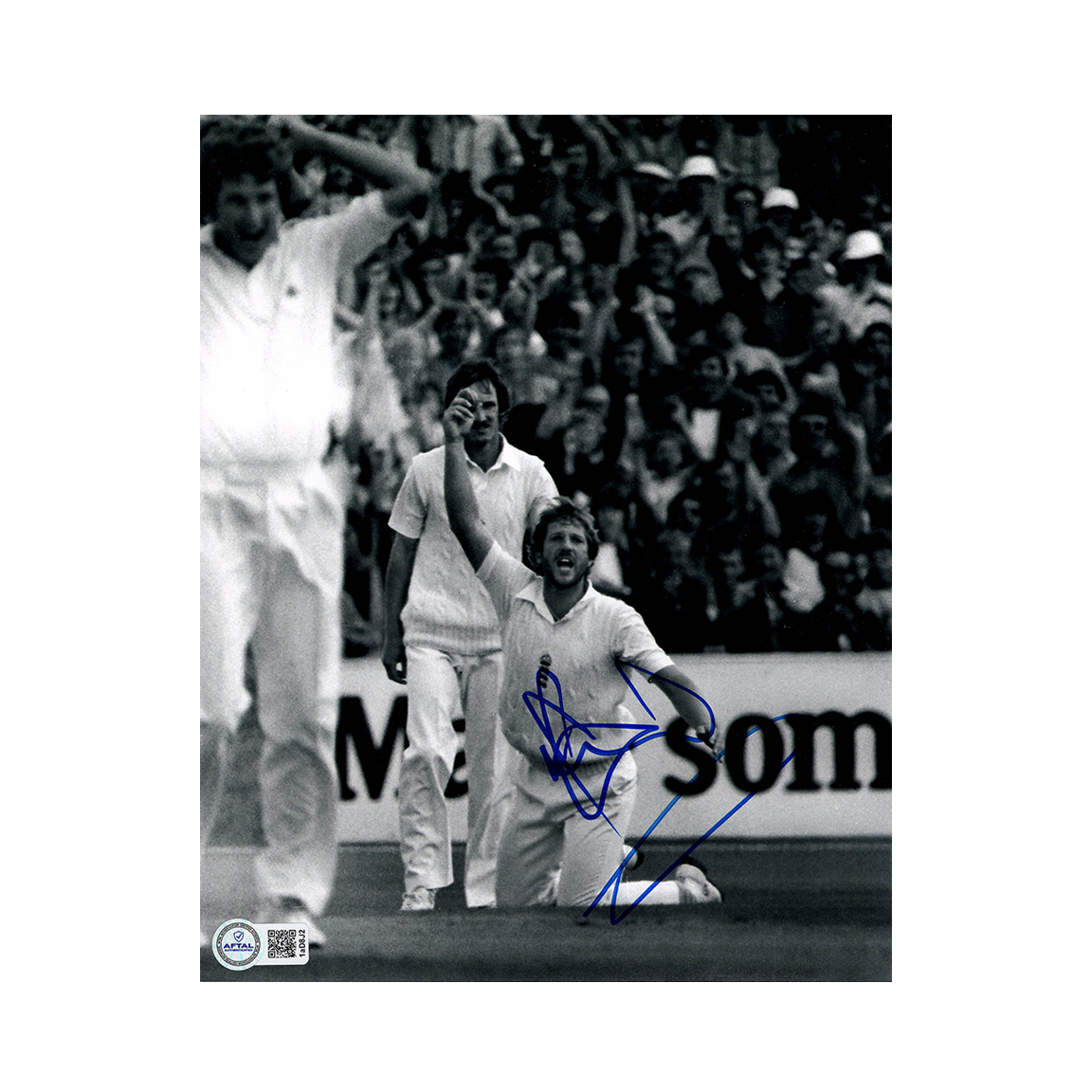 Ian Botham Signed 10x8 Photo