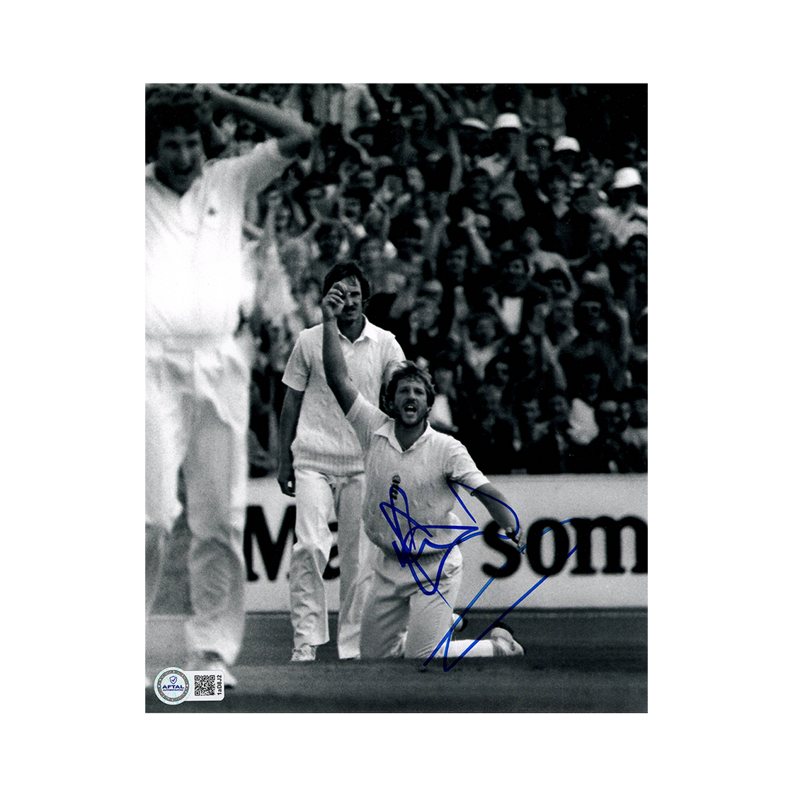 Ian Botham Signed 10x8 Photo