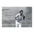 Ian Botham Signed 12x8 Photo