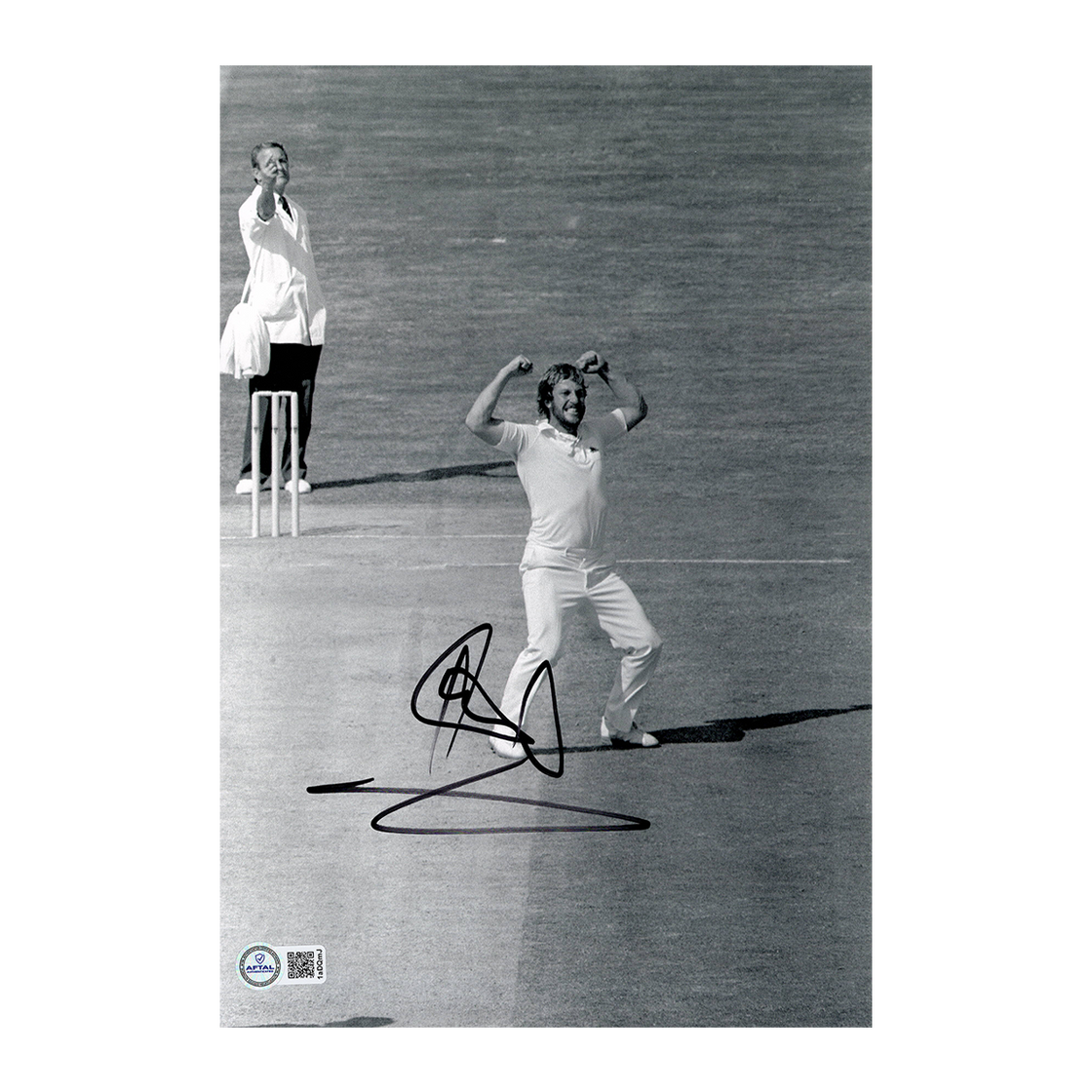 Ian Botham Signed 12x8 Photo