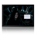 Ian McDiarmid The Emperor Signed Star Wars Framed Display (ACOA)