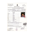 Diego Maradona Signed Barcelona Certificate Of Registration (JSA)