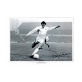 Martin Chivers Signed Tottenham Hotspur 16x12 Photo