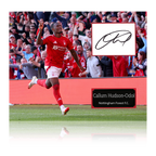 Callum Hudson-Odoi Signed Nottingham Forest Cut Mount