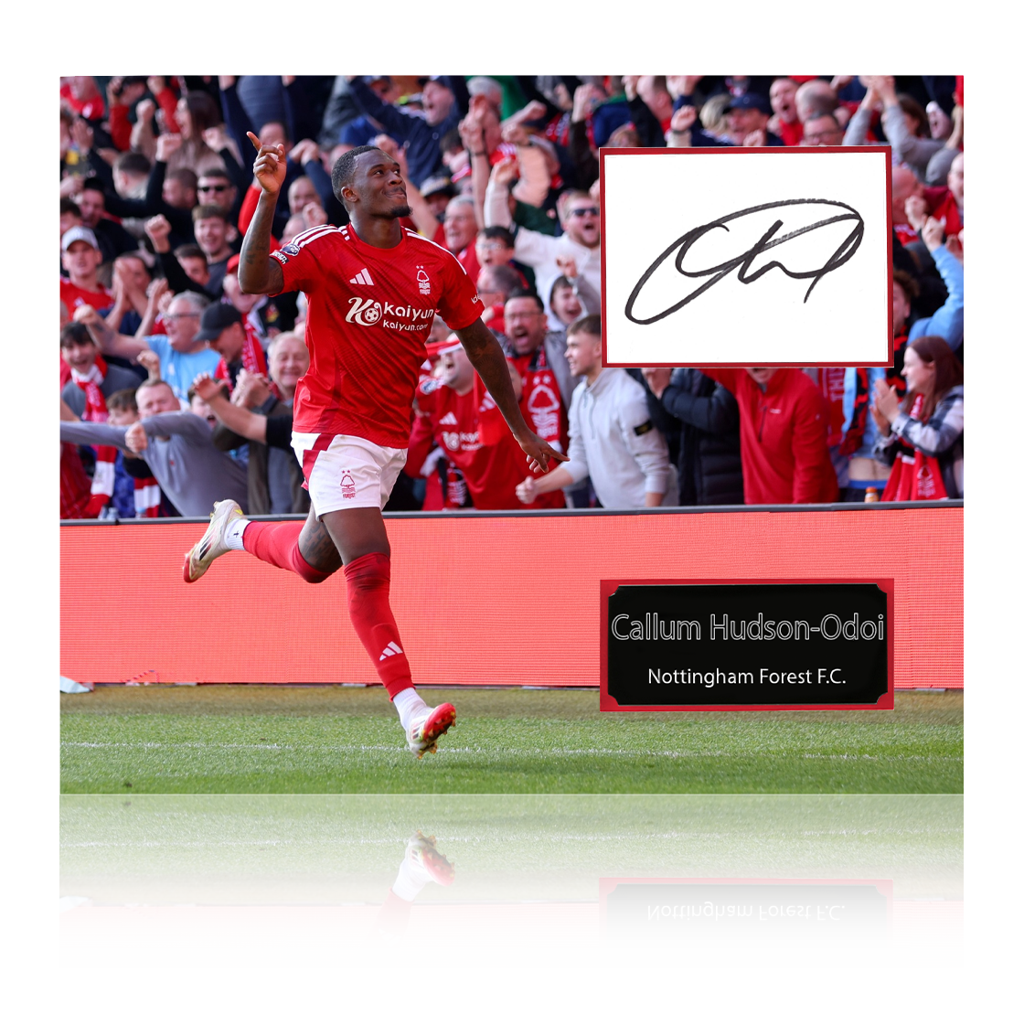 Callum Hudson-Odoi Signed Nottingham Forest Cut Mount