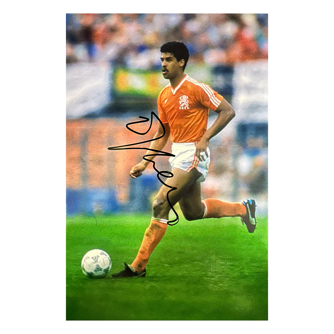 Pierre van Hooijdonk Signed Netherlands 12x8 Image 2
