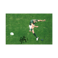 Percy Montgomery Signed 12x8 Image