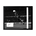 Peter Bonetti Signed Chelsea Cut Deluxe Mount Frame