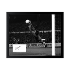 Peter Bonetti Signed Chelsea Cut Deluxe Mount Frame
