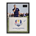 Rory McIlroy Signed Ryder Cup Flag Elite Frame (ACG Cert)