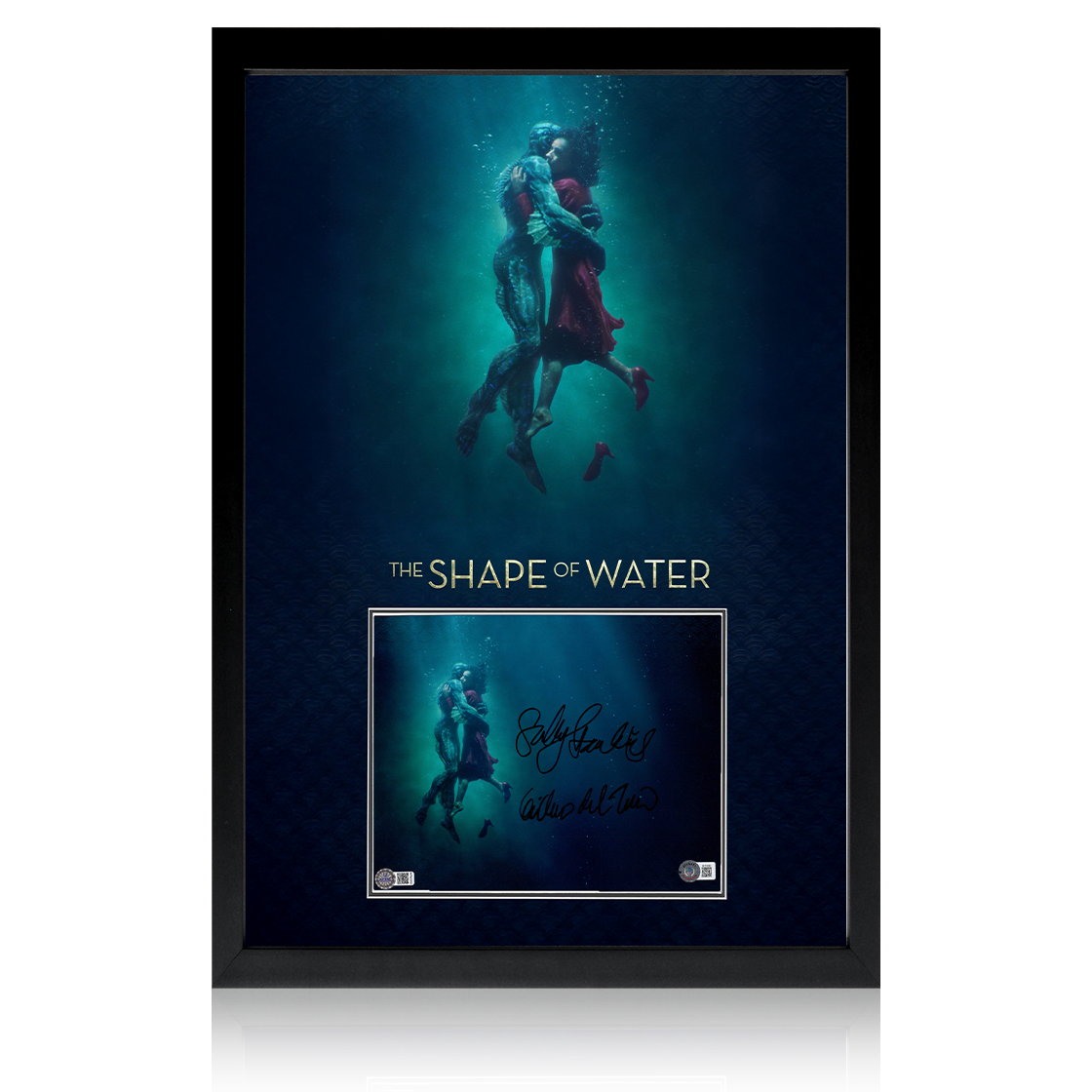 Sally Hawkins & Guillermo del Toro Signed The Shape of Water Image Iconic Frame (AFTAL Authentication)
