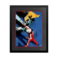 Sebastian Vettel Signed 16x12 Image Deluxe Mount Frame