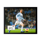 Stephen Ireland Signed Manchester City Cut Deluxe Mount Frame