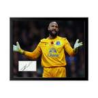 Tim Howard Signed Everton Cut Deluxe Mount Frame