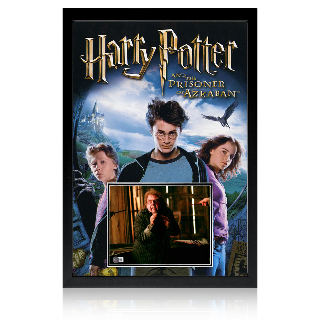 Timothy Spall Signed Harry Potter Image Iconic Frame (AFTAL Authentication)
