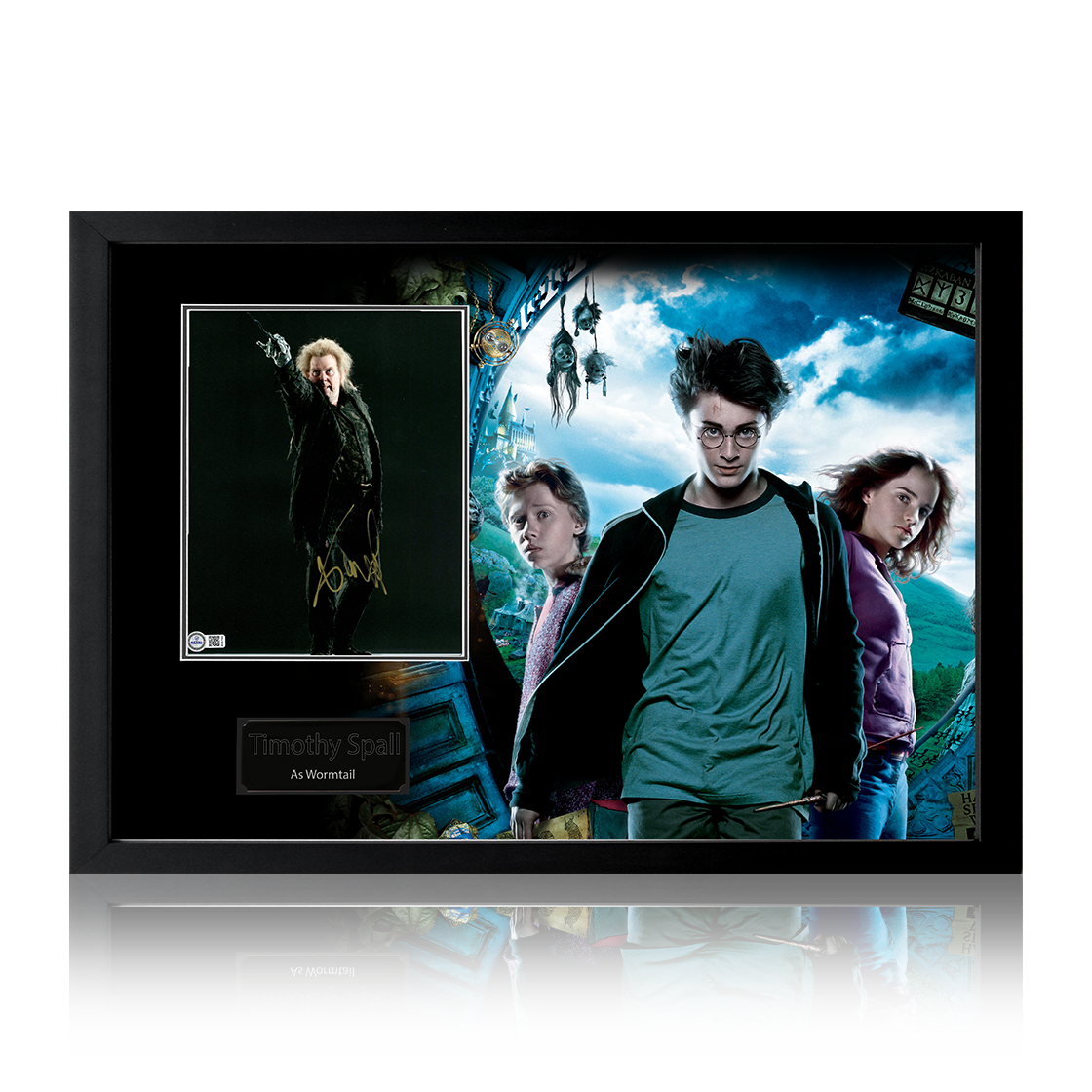 Timothy Spall Signed Harry Potter Image Iconic Frame (AFTAL Authentication)