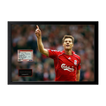 Xabi Alonso Signed Liverpool Cut Iconic Frame (ACG Cert)