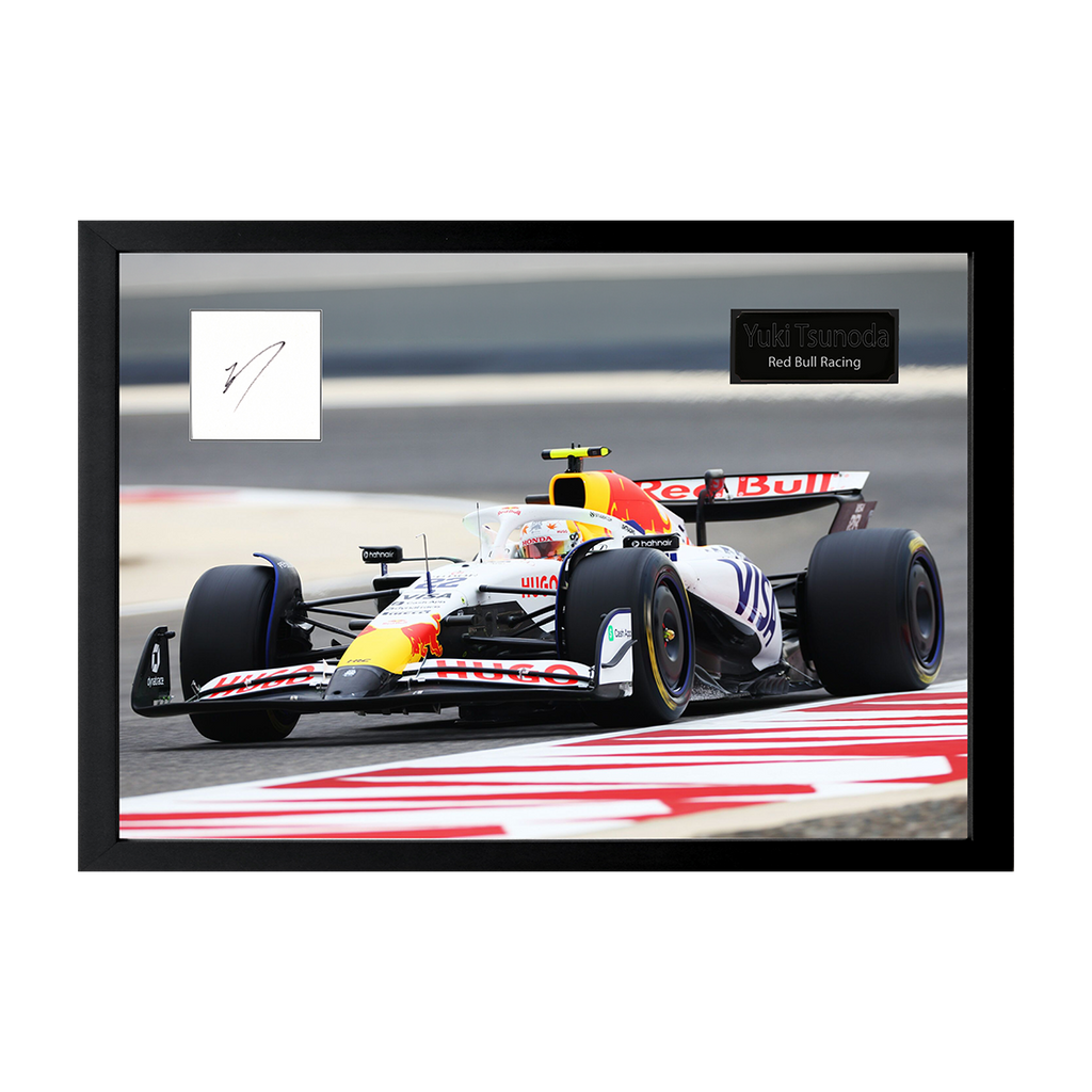 Mika Hakkinen Signed 16x12 Image Cut Iconic Frame (ACG Cert)